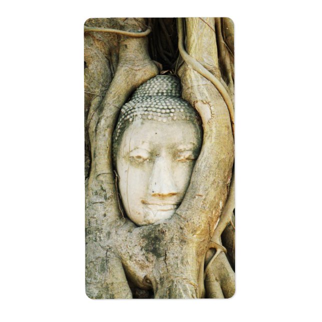 Buddha Kopf in der Feigenbaum .. Ayutthaya, Thaila (Vorne)