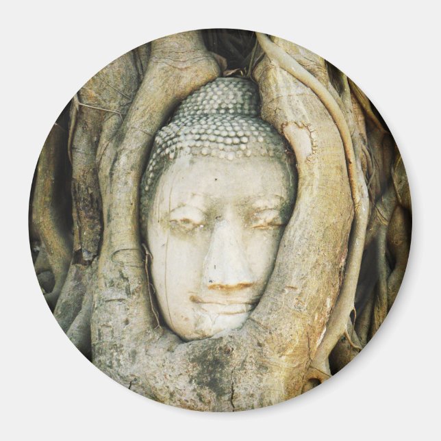 Buddha Kopf in der Feigenbaum .. Ayutthaya, Thaila Magnet (Vorne)