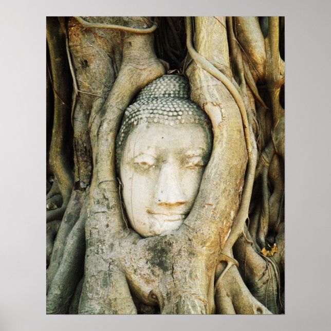 Buddha Kopf in der Feigenbaum .. Ayutthaya, Thaila Poster (Vorne)