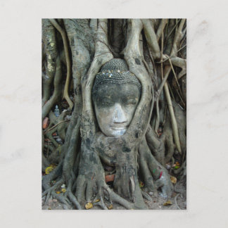 Buddha-Kopf Postkarte