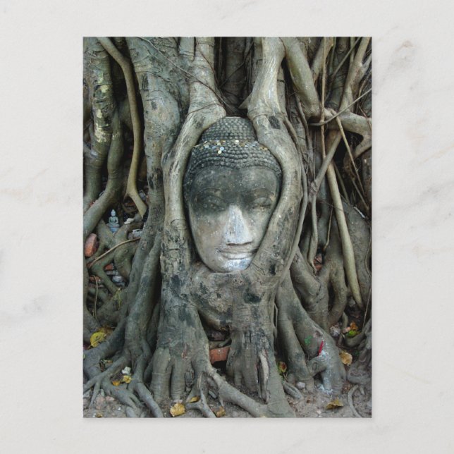 Buddha-Kopf Postkarte (Vorderseite)