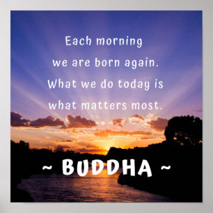 Buddha Morning Zitat Poster