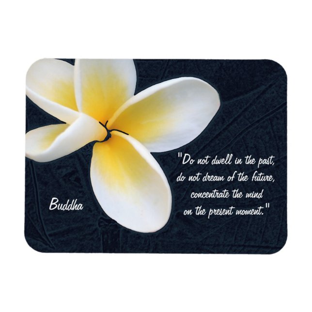Buddha Quotes & Fragipani Blume / Kunstmeditation Magnet (Horizontal)