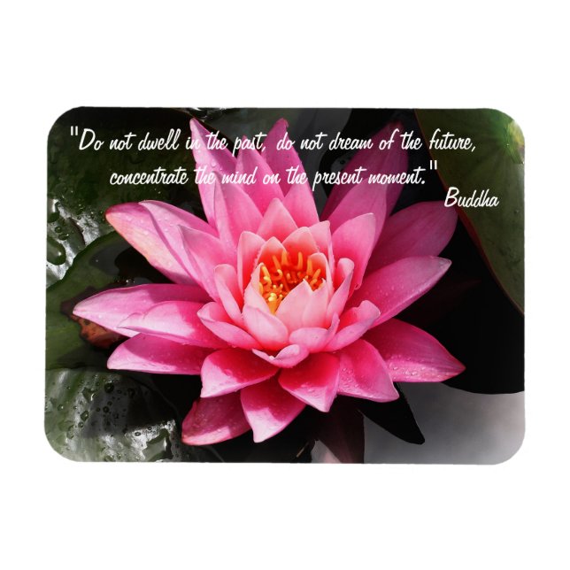Buddha Quotes & Lotus Blume / Naturmeditation Magnet (Horizontal)