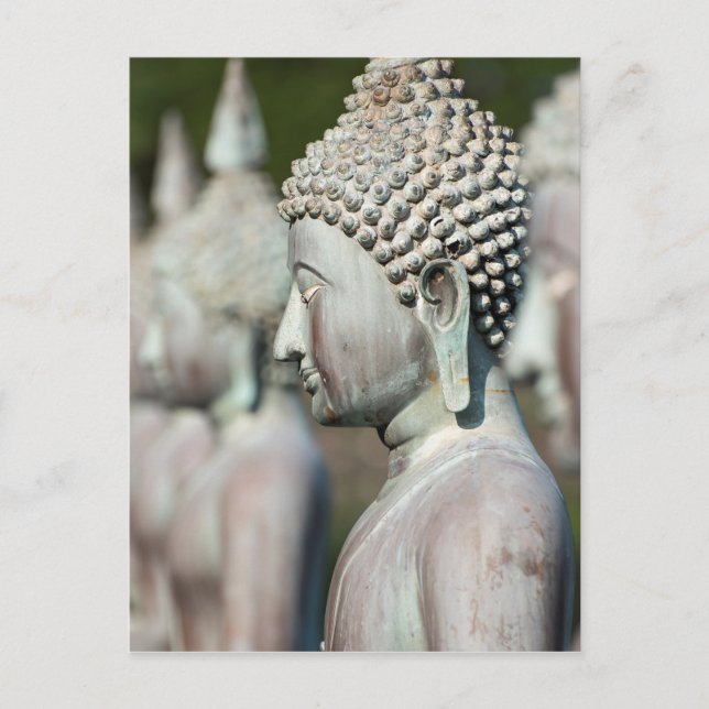 Buddha Statues, Colombo, Sri Lanka Postkarte (Vorderseite)
