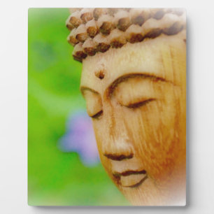 Buddha vermitteln fotoplatte