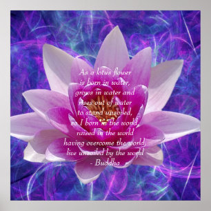 Buddha Zitat Lotus Blume Poster
