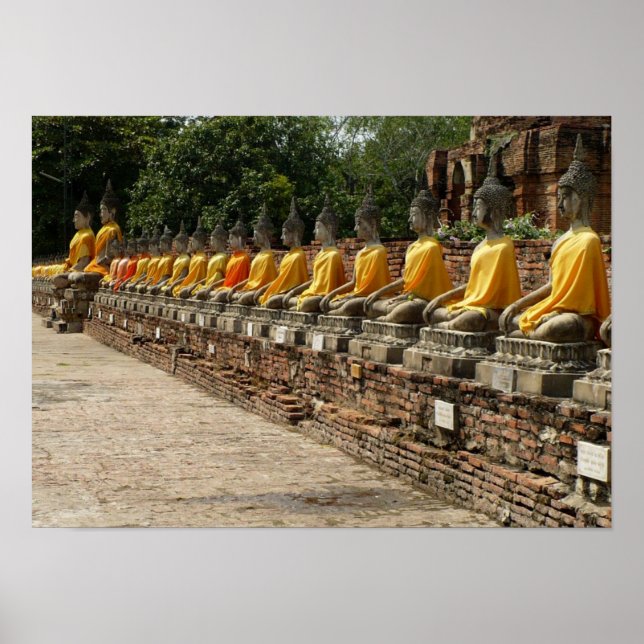 Buddhas Poster (Vorne)