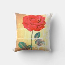 BuddhaToday V1 #11 Peace Pillow - 🌹 n Quote (Vend Kissen