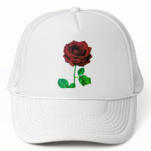 BuddhaToday V1 - #4 🌹