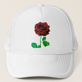 BuddhaToday V1 - #4 🌹 Truckerkappe