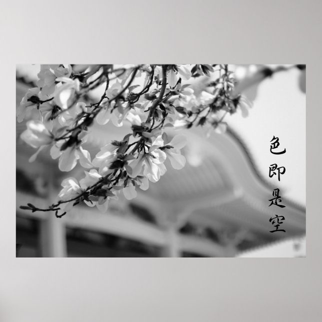 Buddhist Temple White Blume Alles ist Vanity B & W Poster (Vorne)