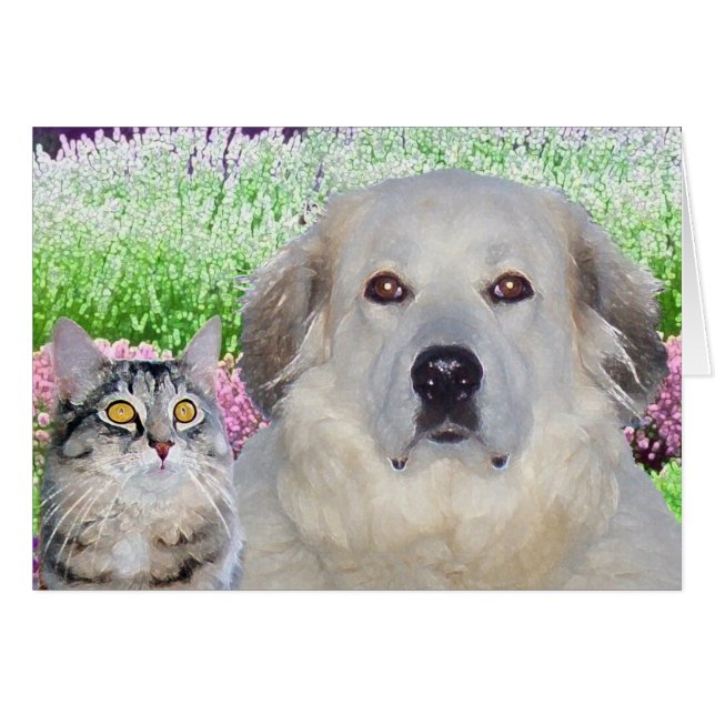 Buddies (Vorderseite (Horizontal))