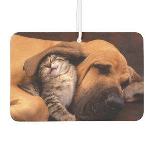Buddies Air Freshener Autolufterfrischer