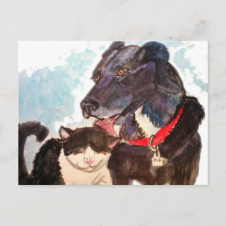 Buddies Postkarte