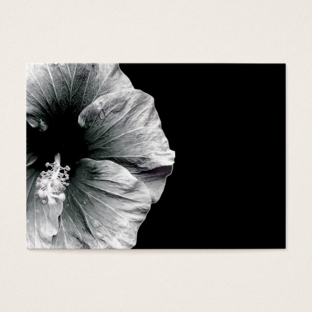 Budding Beauty (Vorderseite)