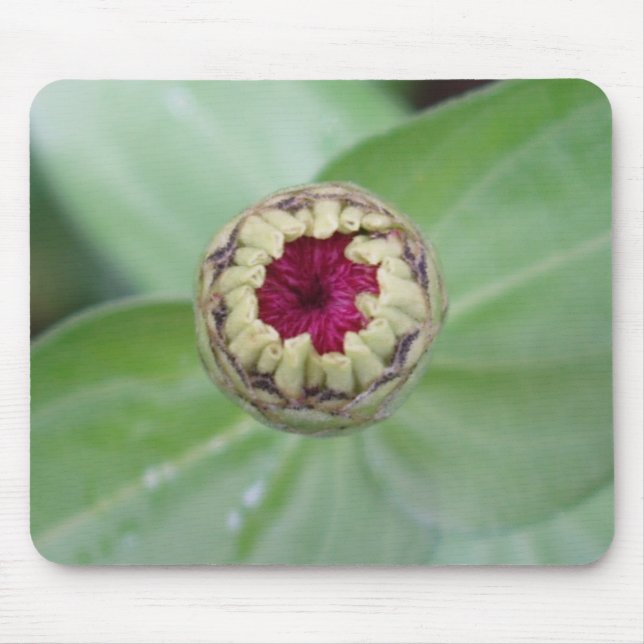 Budding Zinnia Mousepad (Vorne)