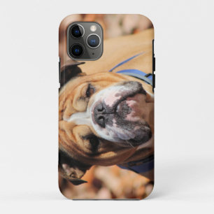 Buddy Bulldog Case-Mate iPhone Hülle