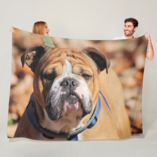 Buddy Bulldog Fleecedecke