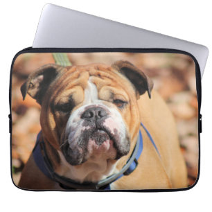Buddy Bulldog Laptopschutzhülle