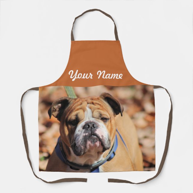 Buddy Bulldog Schürze (Vorderseite)