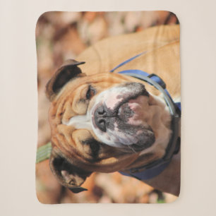 Buddy Bulldog Sherpadecke