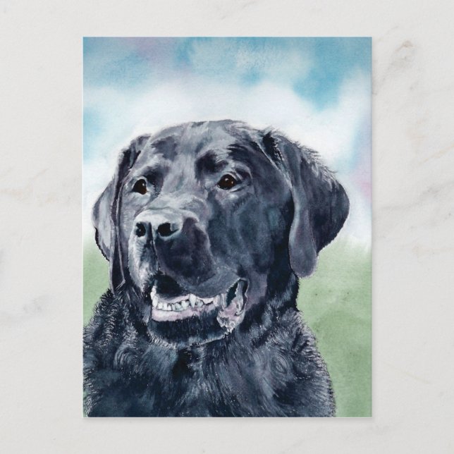 Buddy der Labrador Postkarte (Vorderseite)