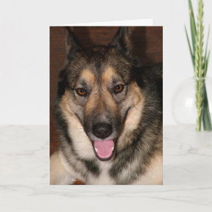 Buddy Grußkarte Karte