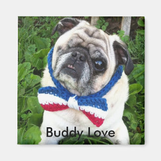 Buddy Liebe Liebe Magnet