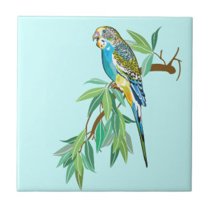 Budgerigar Fliese