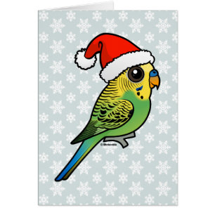 Budgerigar Weihnachtsmann