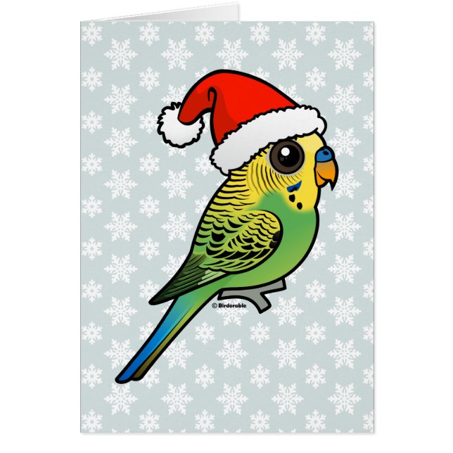 Budgerigar Weihnachtsmann (Vorne)