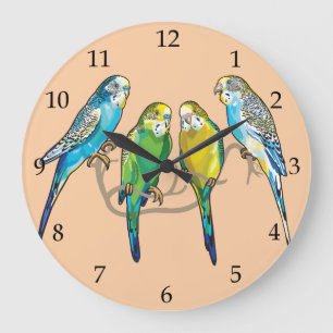 budgerigars große wanduhr