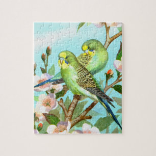 Budgerigars Puzzle