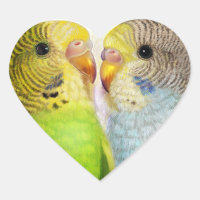 Budgerigars realistisches Gemälde