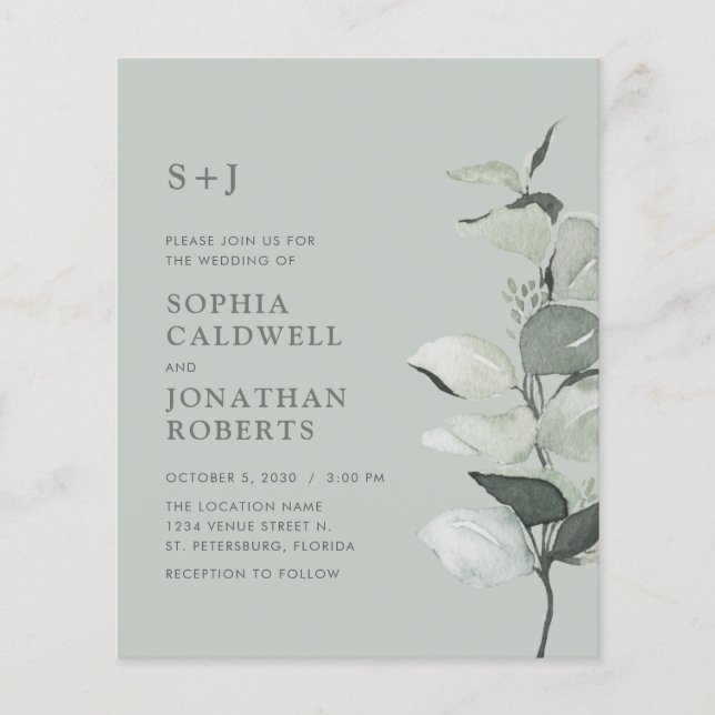 Budget Alles in einer Stufe Eukalyptus Wedite Einl (Vorderseite)