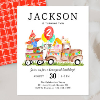 Budget Barnyard Animals Truck Kids Farm Geburtstag