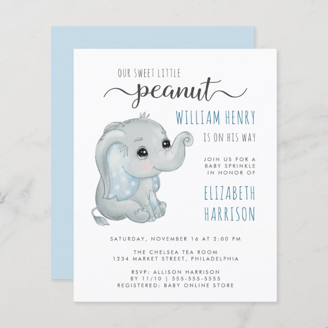 Budget Blue Elephant Watercolor Baby Sprinkle (Vorne/Hinten)
