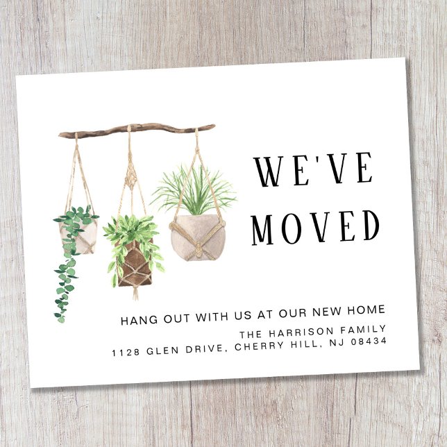 Budget Boho Neue Pflanze im Haus verschieben Ankün (Von Creator hochgeladen)