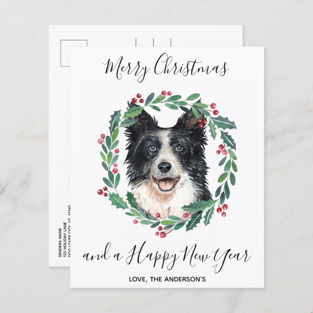 Budget Border Collie Dog Frohe Weihnachts Postkart (Vorne/Hinten)