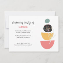 Budget Celebration Life Flat Announcement Card