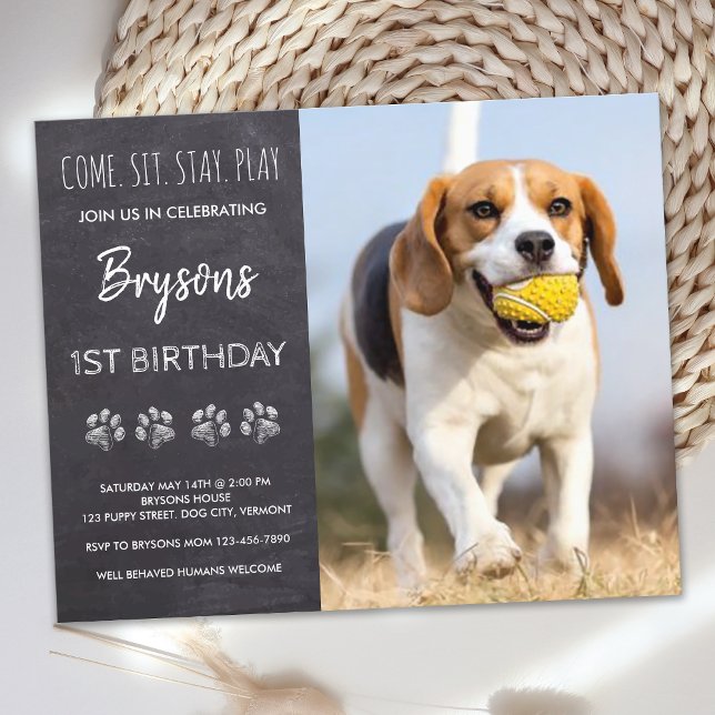 Budget Come Sit Bleibe Chalkboard Welpe Hund Gebur (Von Creator hochgeladen)