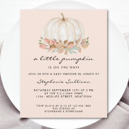 Budget Eine kleine Pumkin Floral Baby Dusche laden