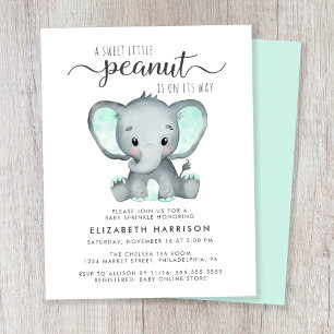 Budget Elephant Mint Baby Sprinkle Einladung