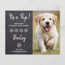 Budget Es ist eine Pup New Pet Puppy Dog Ankündigu