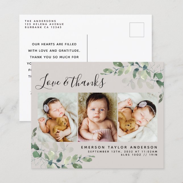 Budget Eucalyptus Foto Baby Danke Postcard (Vorne/Hinten)