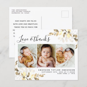 Budget Eucalyptus Foto Baby Danke Postcard