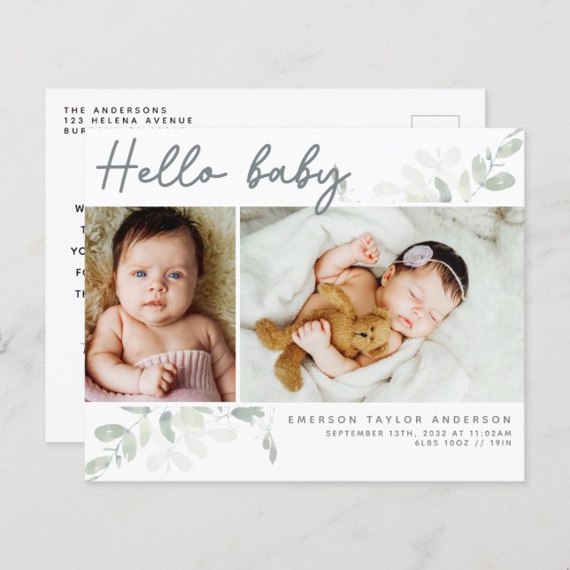 Budget Eucalyptus Foto Hello Baby Postcard (Vorne/Hinten)