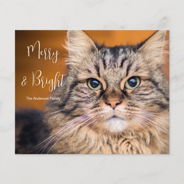 Budget Foto Cat Merry and Bright Holiday Card (Vorderseite)