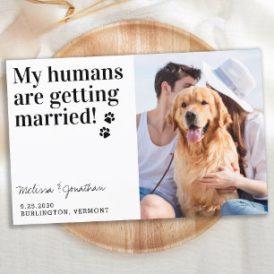 Budget Foto Hochzeithund speichern Sie die Datumsk